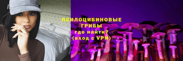 хмурый Нея