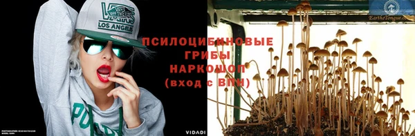 прущий лед Арсеньев