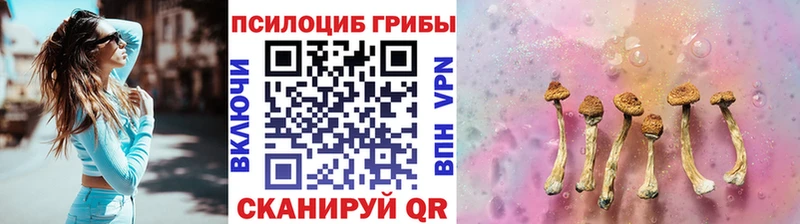 Псилоцибиновые грибы ЛСД OMG ONION Малоярославец